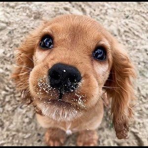 Meet your Posher, Karen